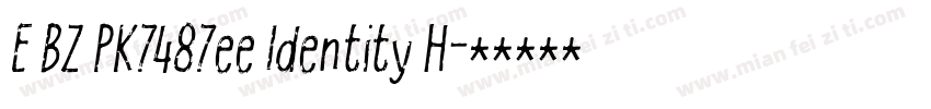 E BZ PK7487ee Identity H字体转换